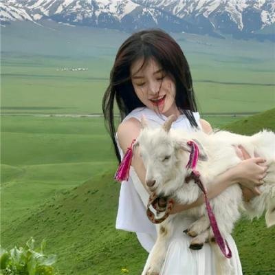 越狱第一季