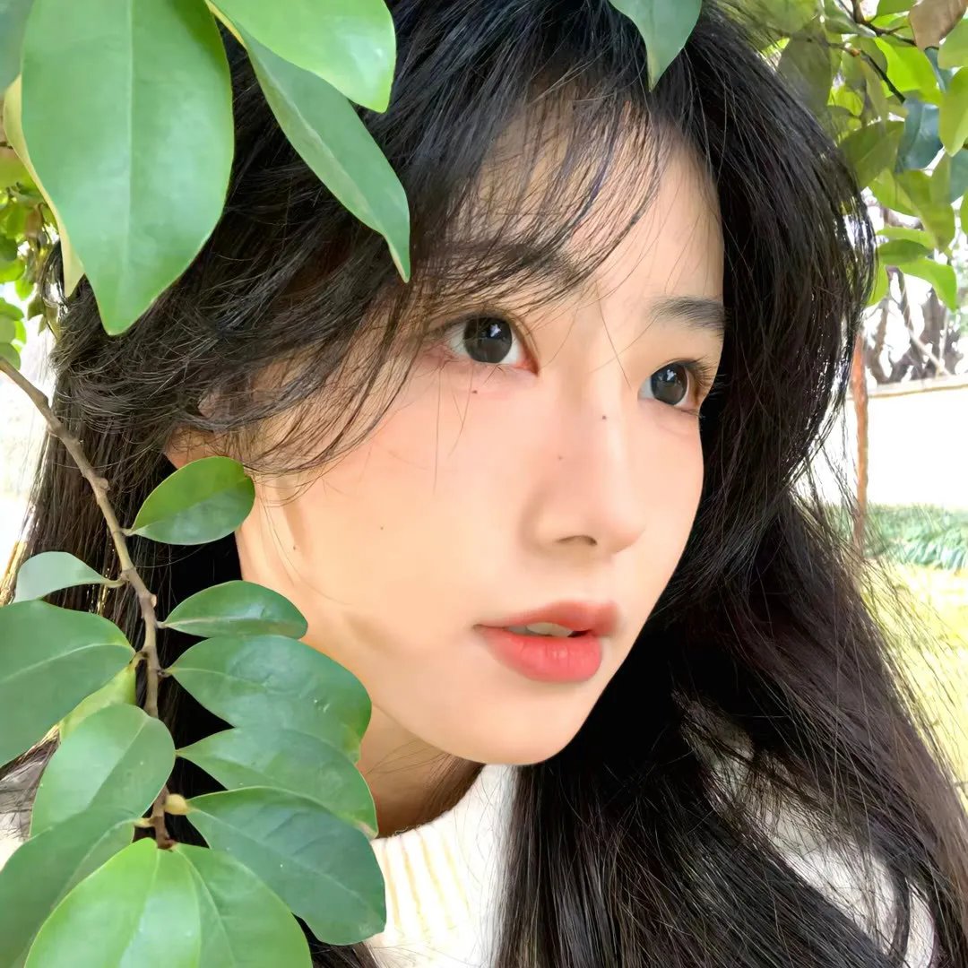 人类之巅